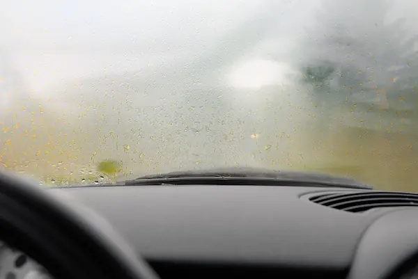Windshield Fog