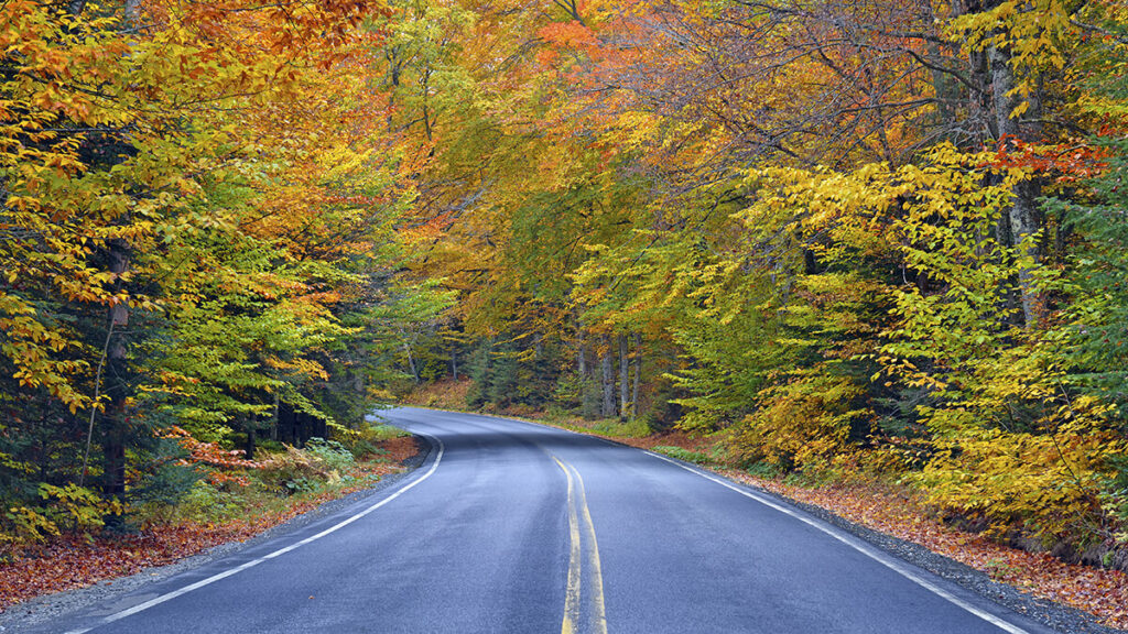 Scenic Fall