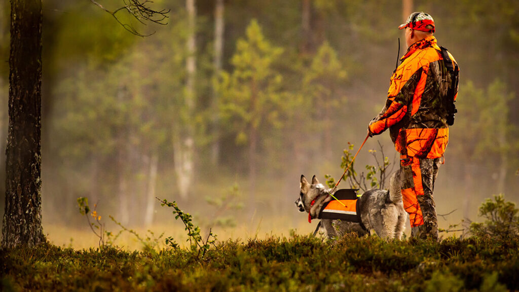 safe hunter