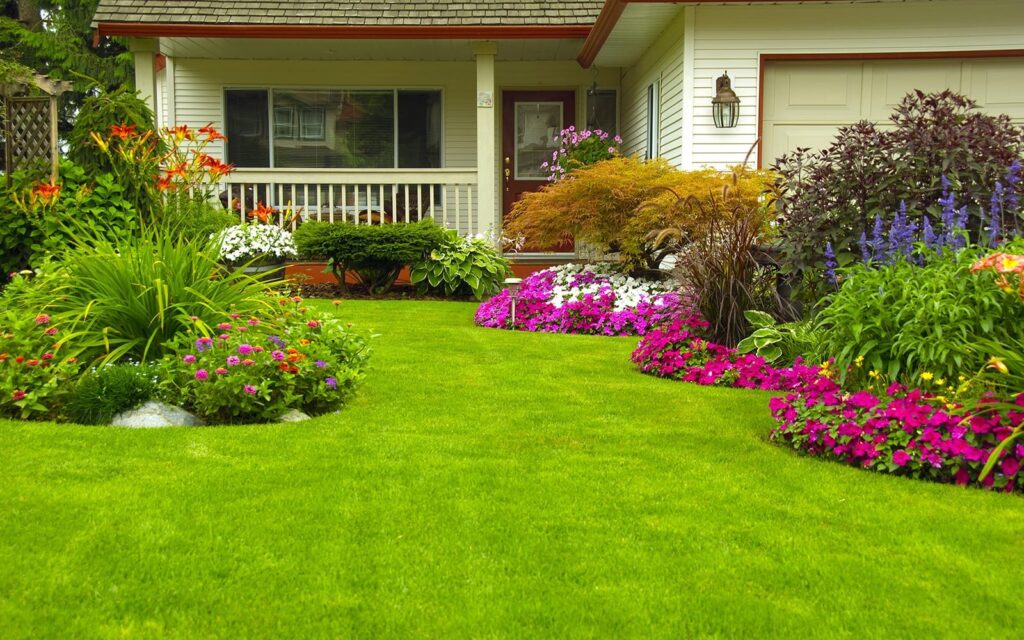 Lawn Care Maintenance