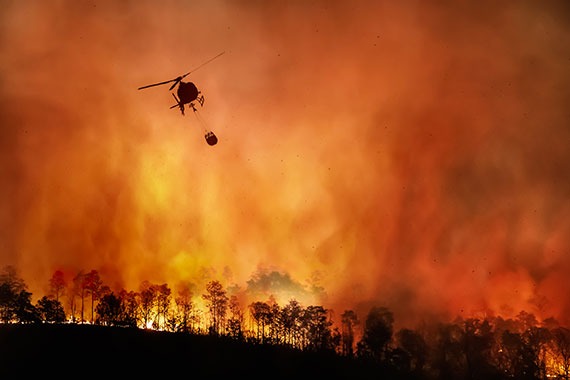 Natural Disasters