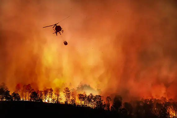 Natural Disasters